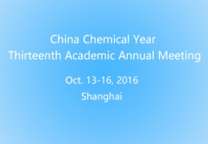 China Chemical Year the Thirteenth Academic Annual Meeting